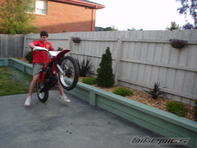 1987 SUZUKI TS 185 | Picture 683408 motorcycle photo