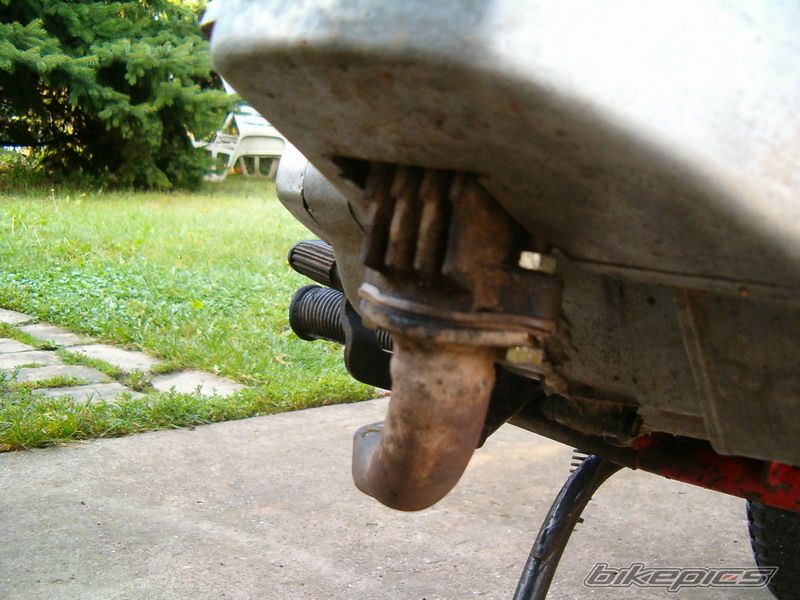 1978 TOMOS APN 4 | Picture 684039 motorcycle photo