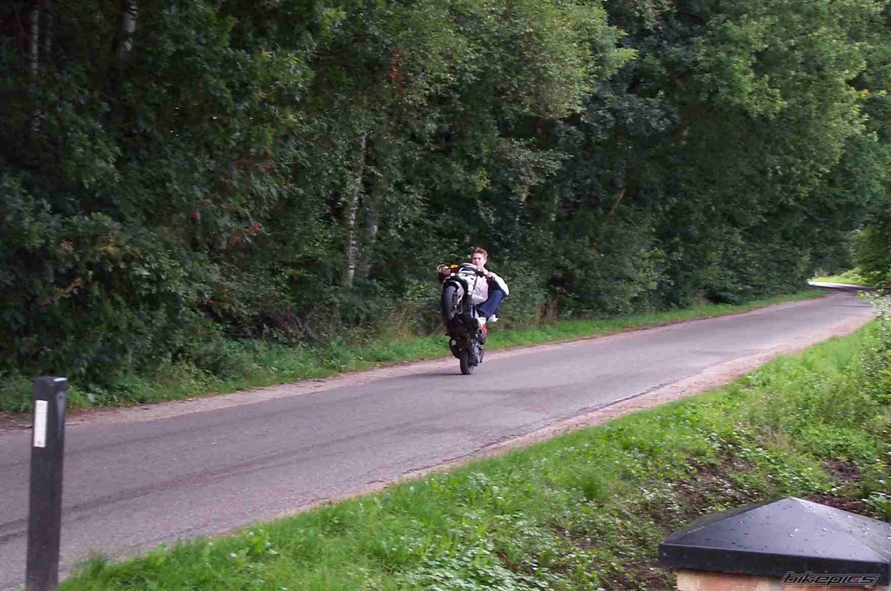 1999 PIAGGIO ZIP | Picture 6863 motorcycle photo