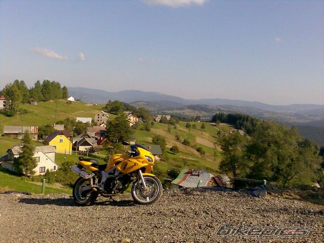2001 PIAGGIO ZIP | Picture 686479 motorcycle photo