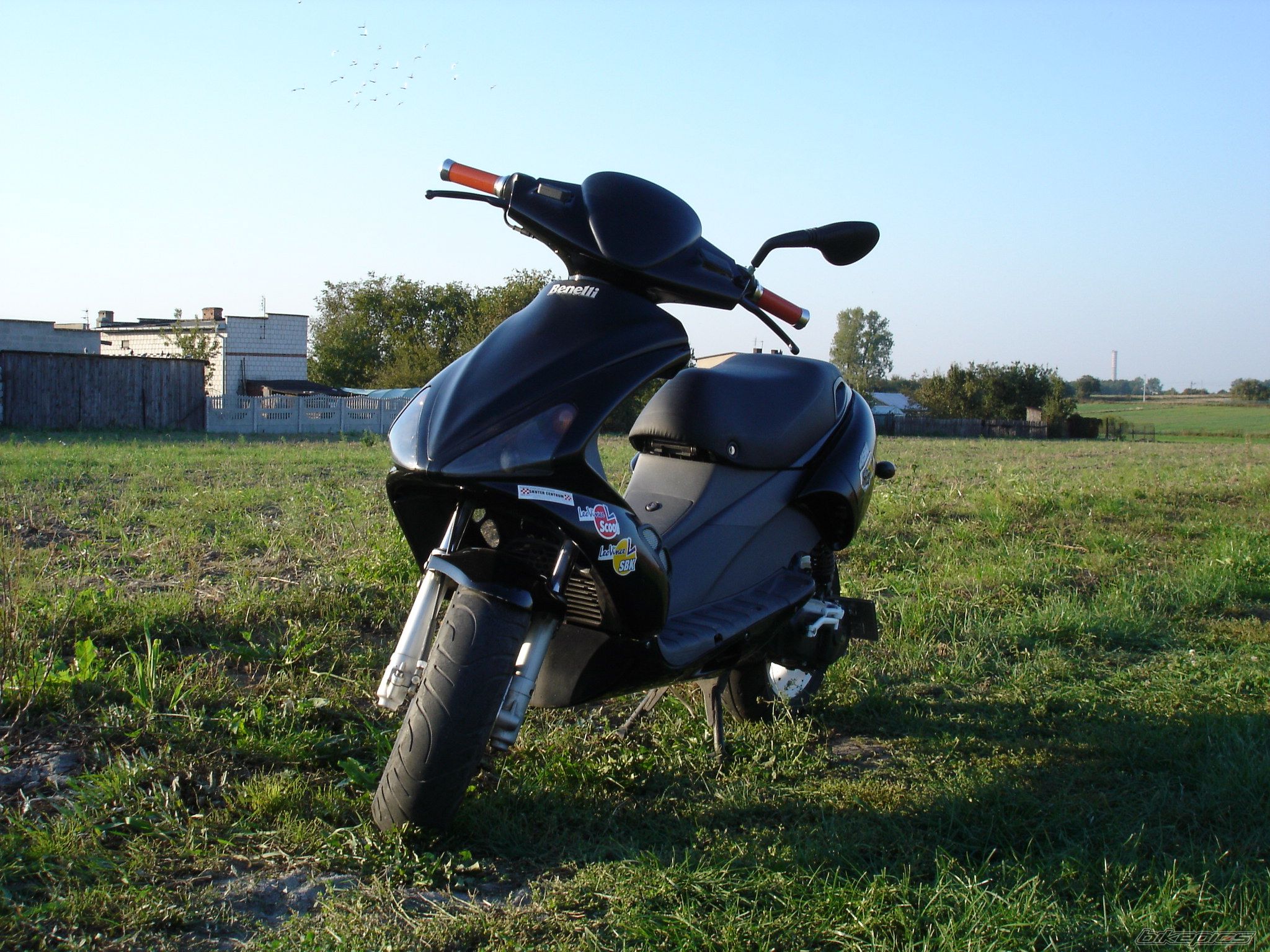2003 BENELLI 491 | Picture 687417 motorcycle photo