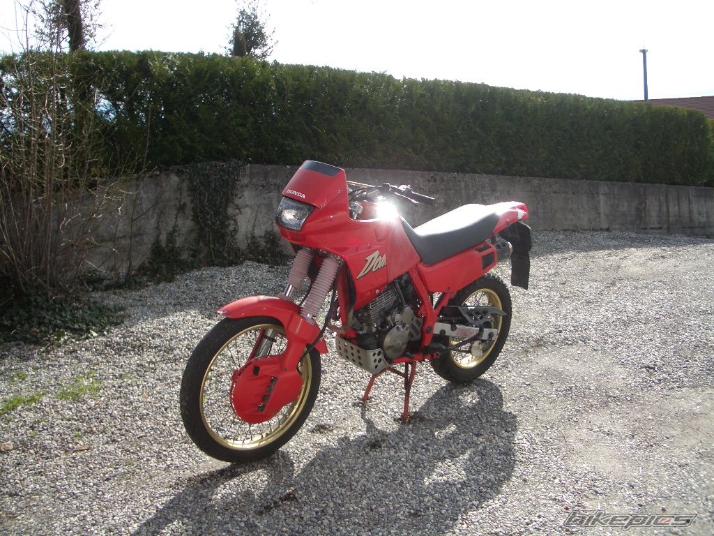 1991 HONDA NX 650 DOMINATOR | Picture 688502 motorcycle photo