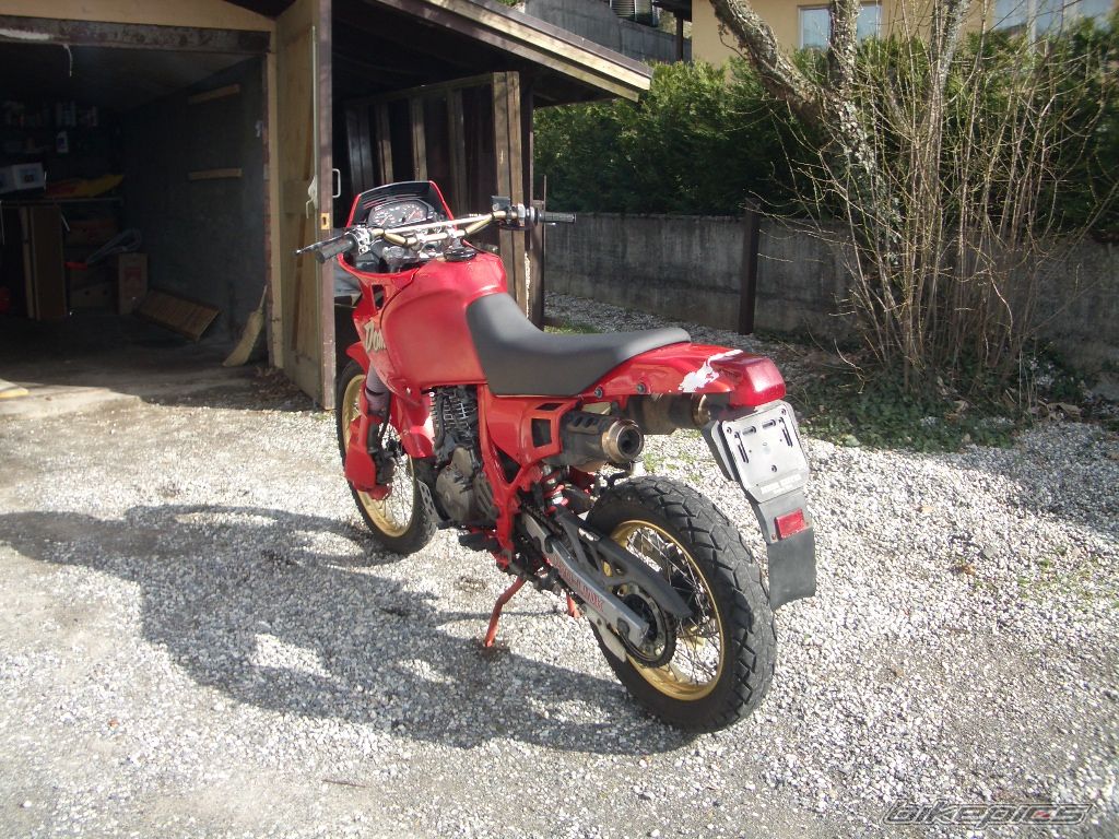 1991 HONDA NX 650 DOMINATOR | Picture 688504 motorcycle photo