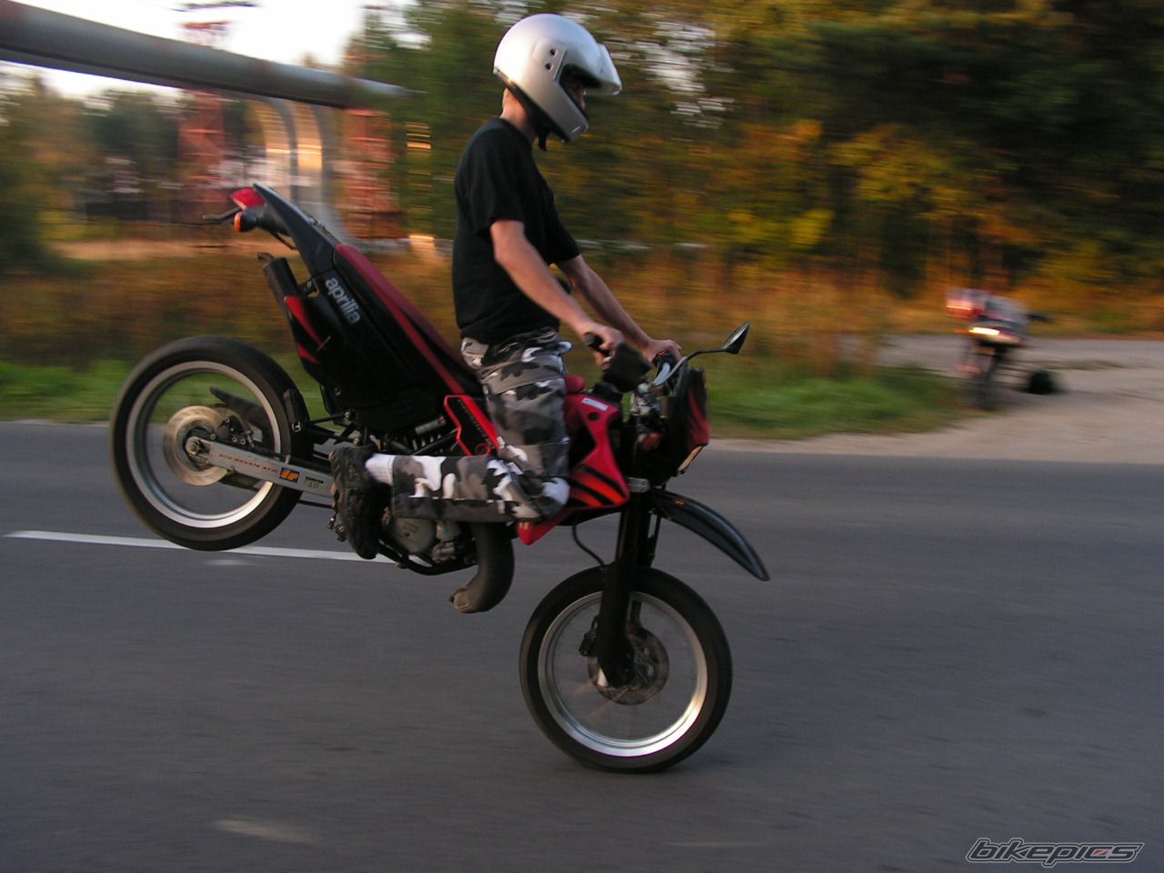 2003 APRILIA MX 50 | Picture 688609 motorcycle photo