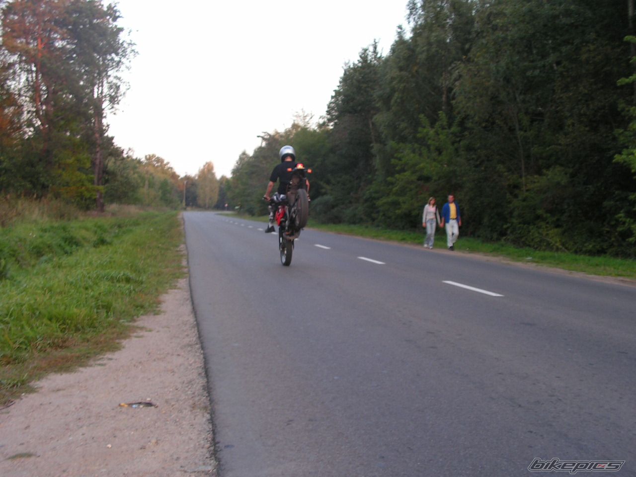 2003 APRILIA MX 50 | Picture 688610 motorcycle photo