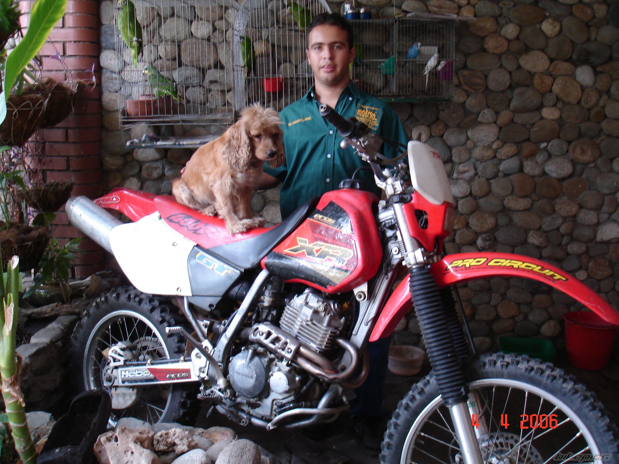 1998 HONDA XR 400 | Picture 688707 motorcycle photo