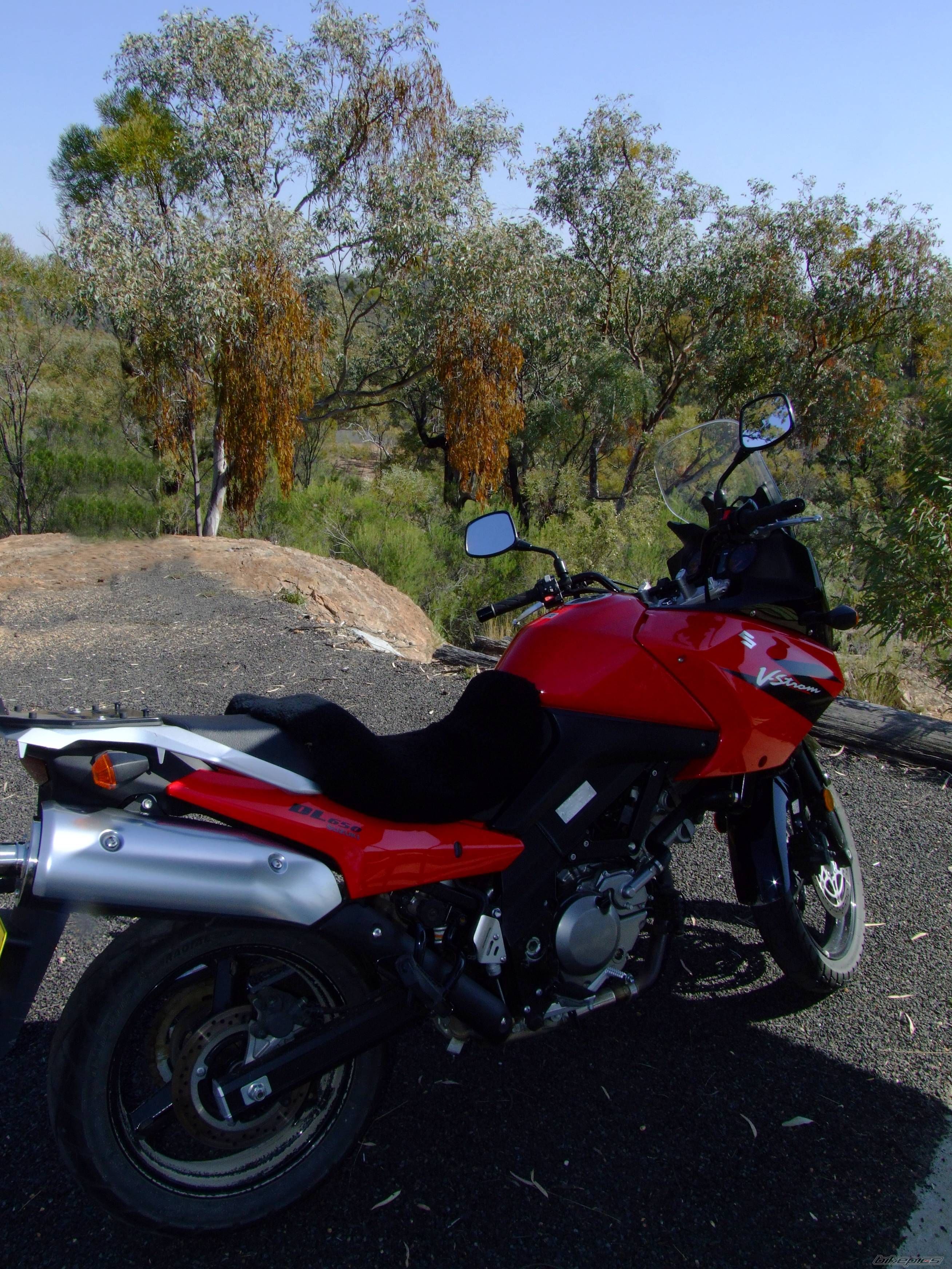 2005 SUZUKI DL 650 | Picture 688736 motorcycle photo