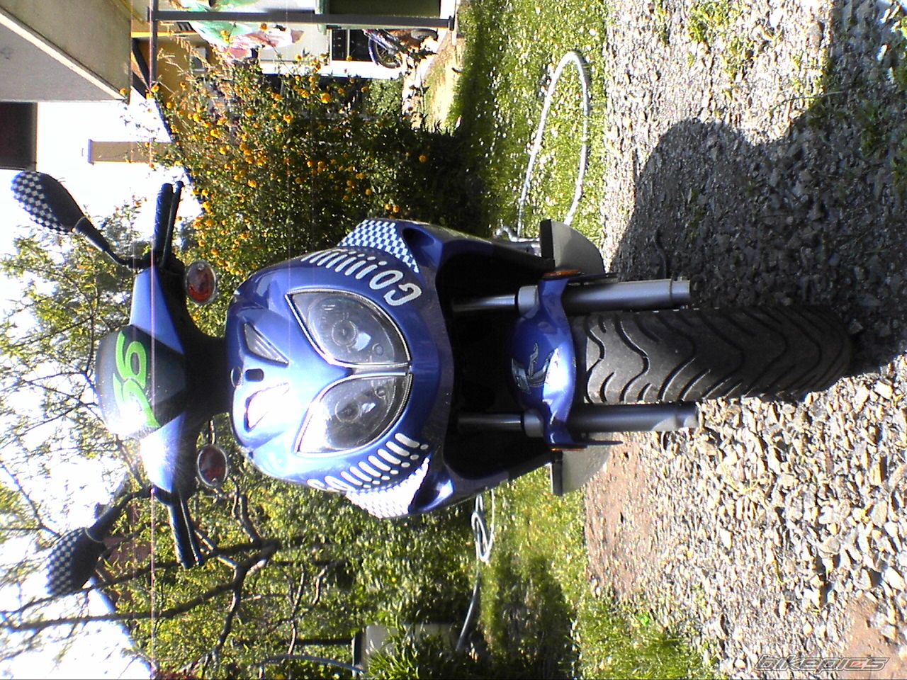    | Picture 689334 motorcycle photo