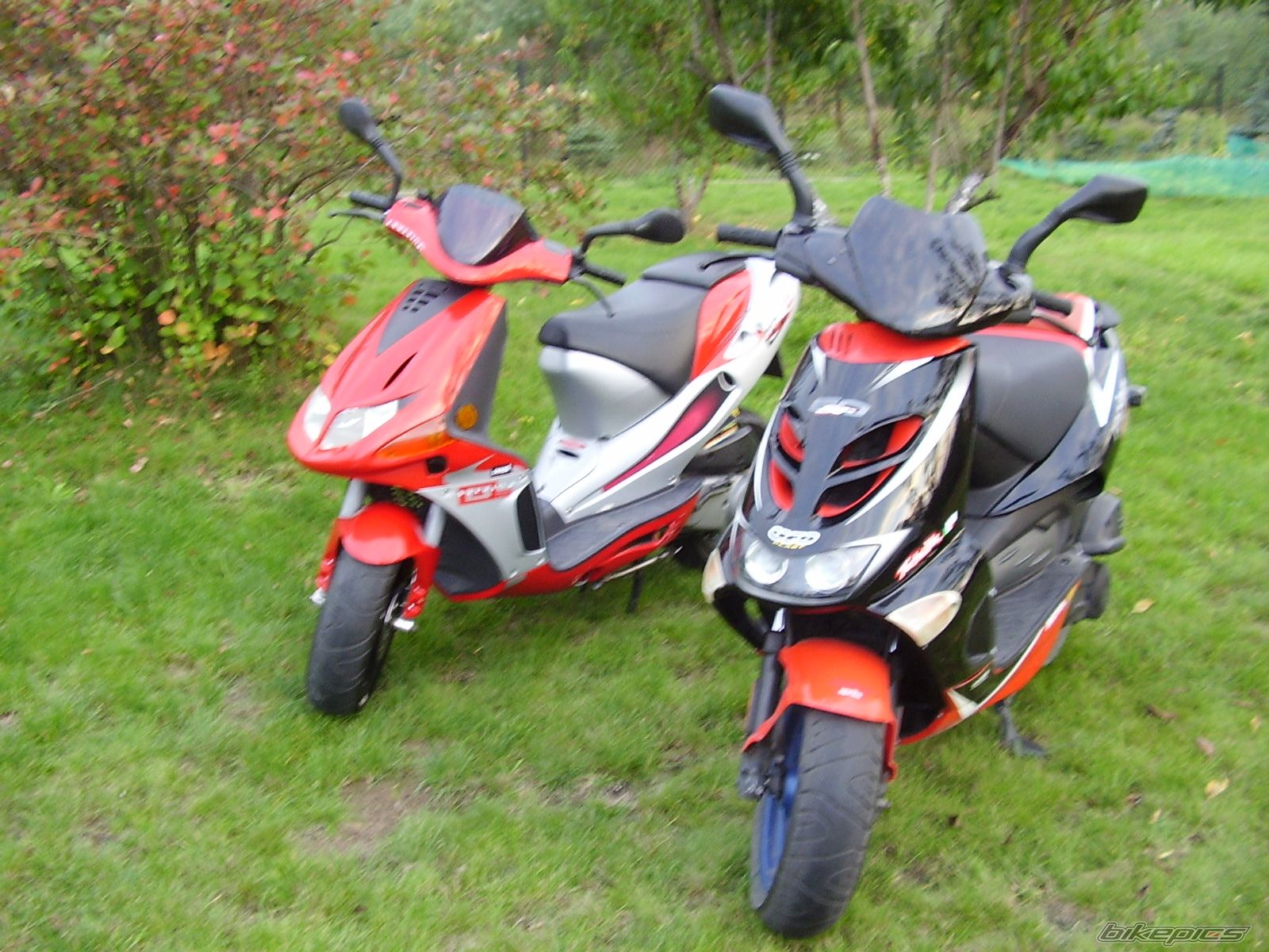 1999 DERBI PREDATOR | Picture 689705 motorcycle photo