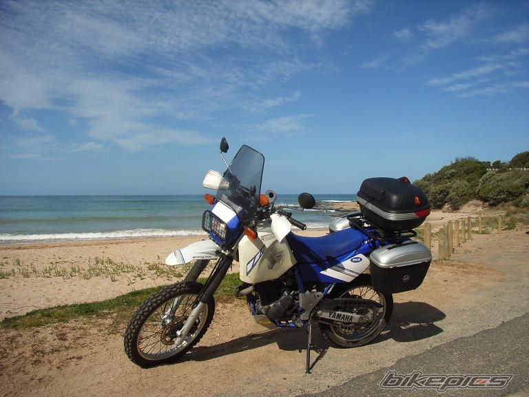 2005 YAMAHA TTR 250 | Picture 690701 motorcycle photo