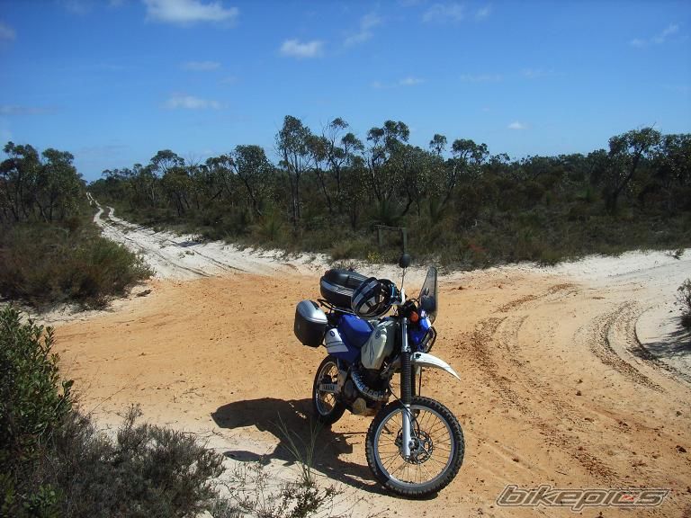 2005 YAMAHA TTR 250 | Picture 690714 motorcycle photo
