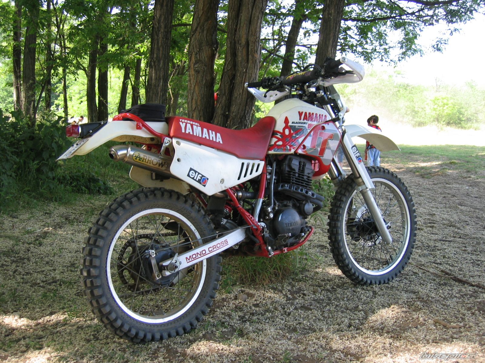 1988 YAMAHA TTR 350 | Picture 691265 motorcycle photo