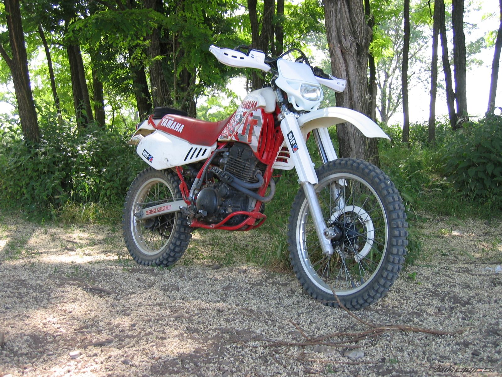 1988 YAMAHA TTR 350 | Picture 691266 motorcycle photo