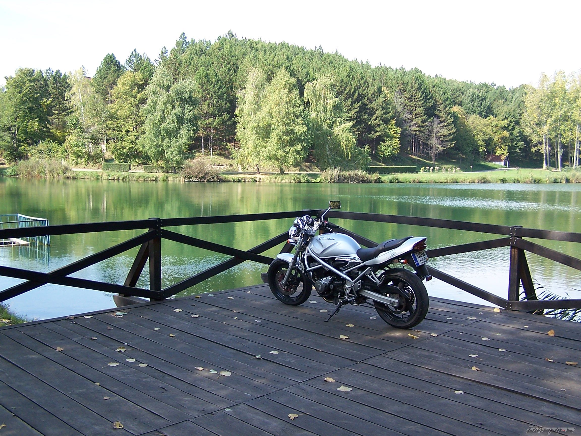 2002 SUZUKI BANDIT 250 | Picture 691726 motorcycle photo