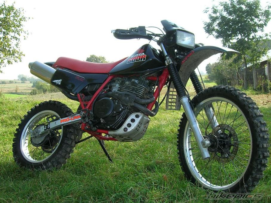 1986 HONDA XR 600 | Picture 691935 motorcycle photo