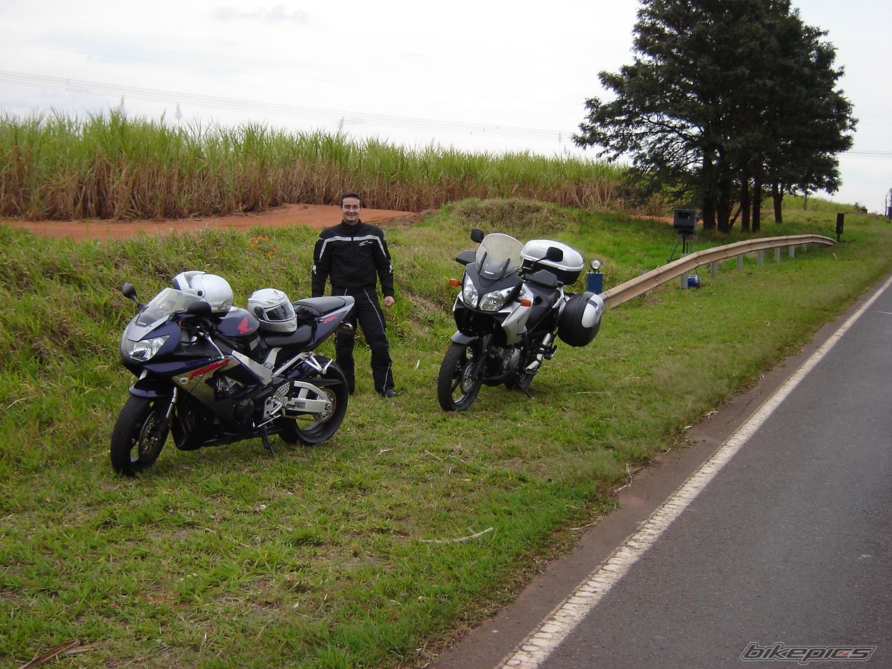 2006 SUZUKI DL 1000 | Picture 692426 motorcycle photo