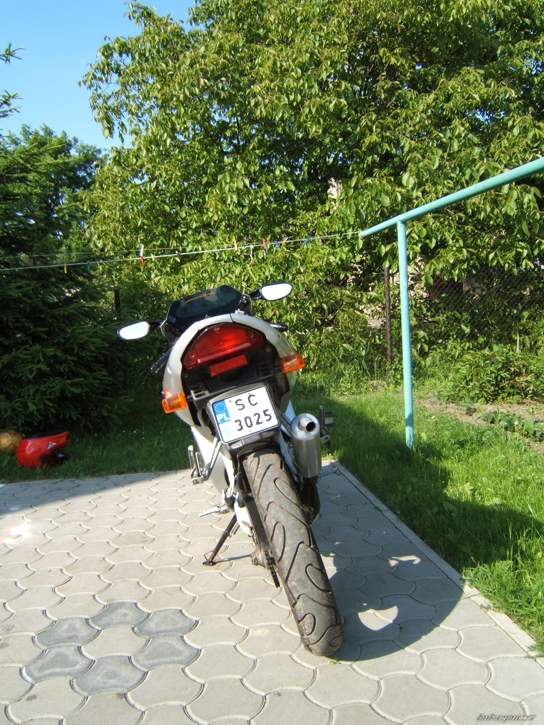 1997 APRILIA RS 50 | Picture 692528 motorcycle photo