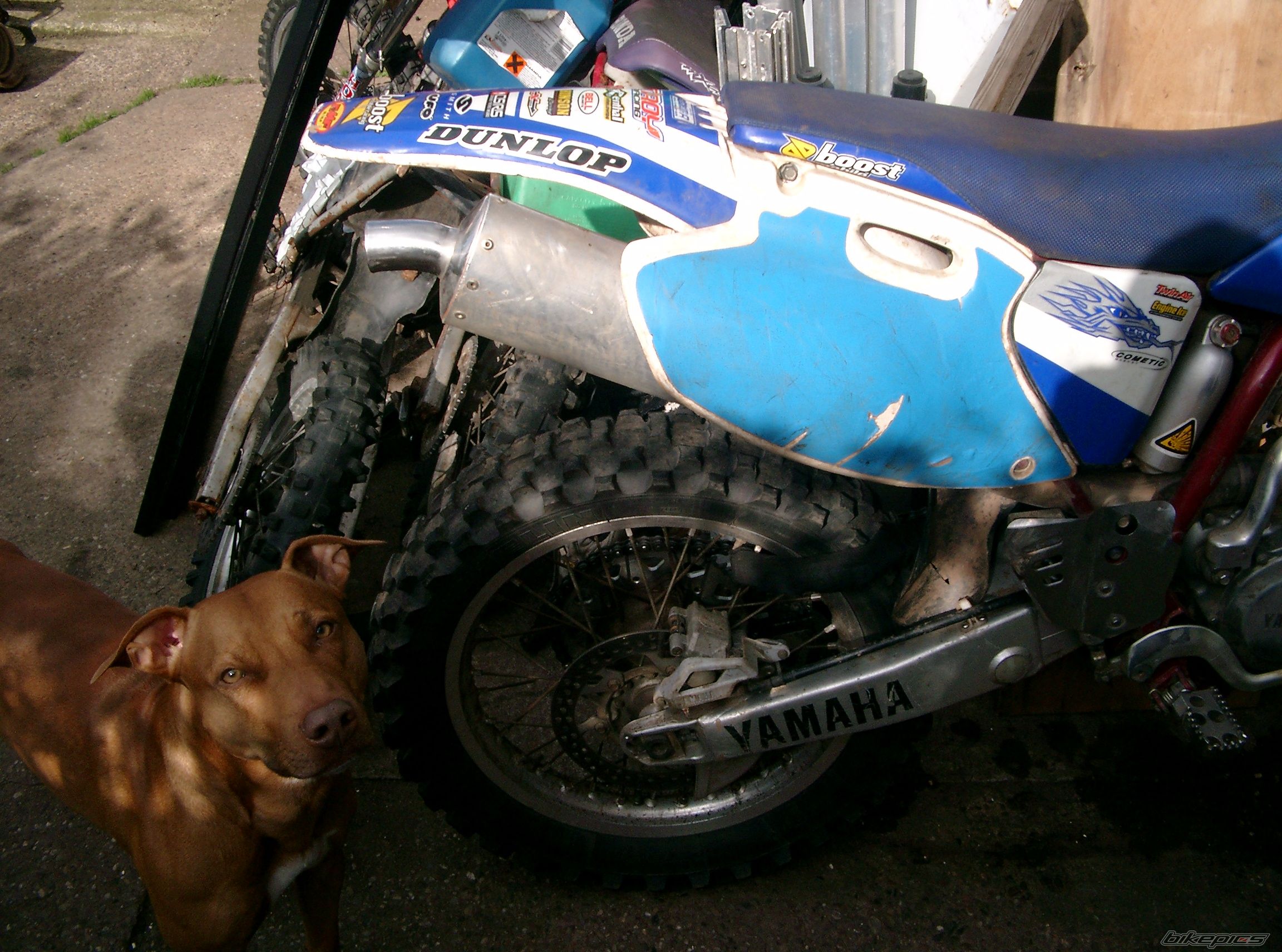2001 YAMAHA YZ 426F | Picture 692726 motorcycle photo