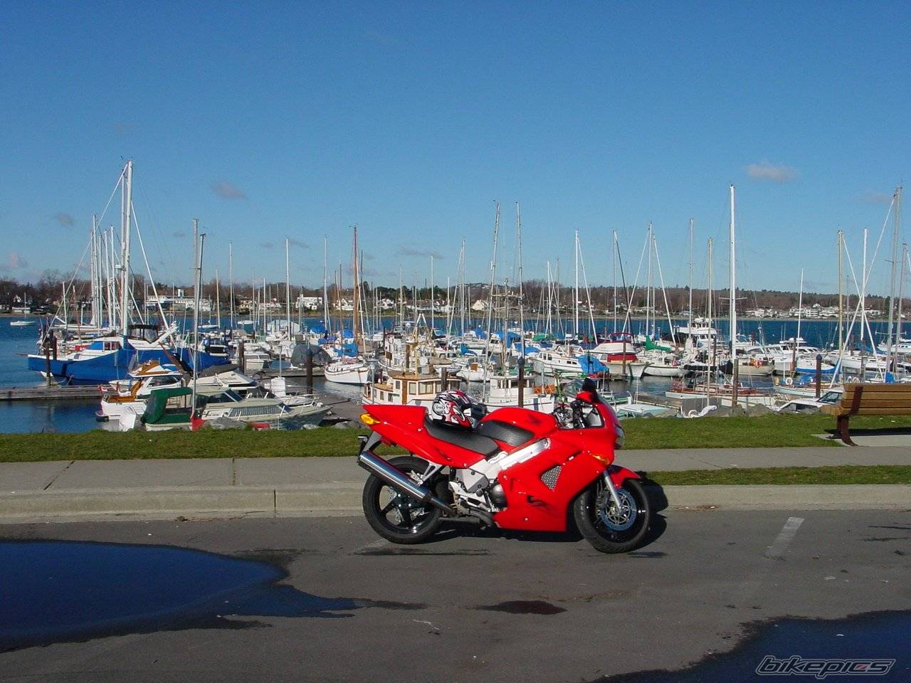 1999 HONDA VFR 800 | Picture 693 motorcycle photo