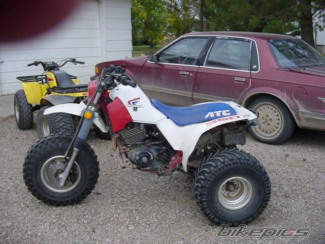 1986 HONDA XL 350 | Picture 69315 motorcycle photo