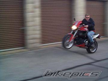 1999 BUELL X1 | Picture 69319 motorcycle photo