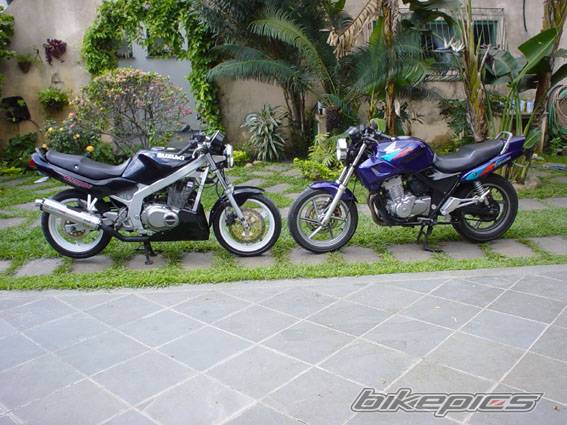 1998 SUZUKI GS 500 | Picture 69333 motorcycle photo