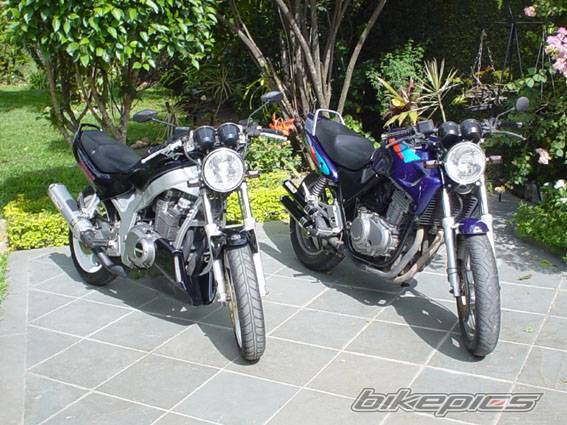 1998 SUZUKI GS 500 | Picture 69334 motorcycle photo
