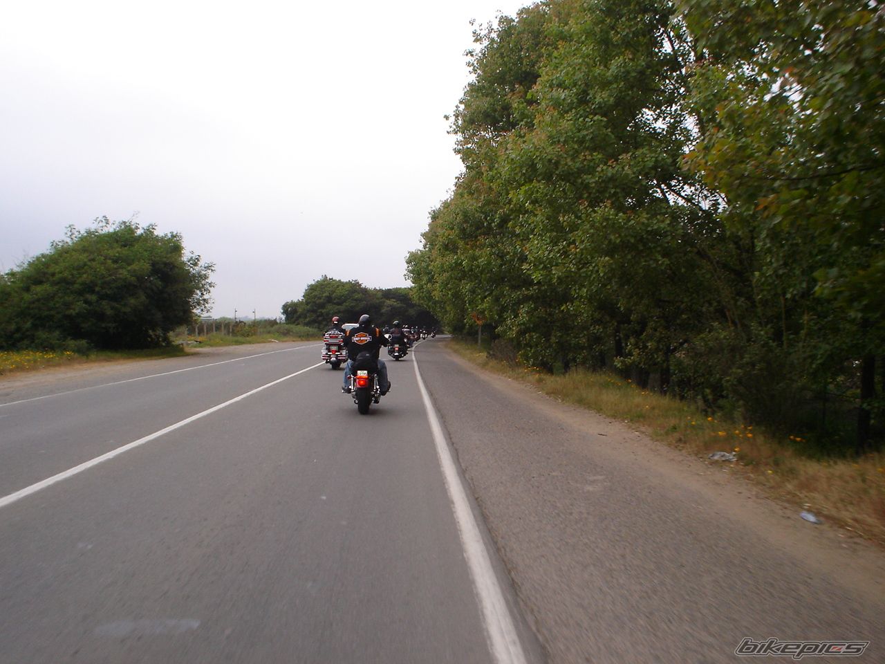 2006 HARLEY DAVIDSON ELECTRA GLIDE STANDARD | Picture 693378 motorcycle photo