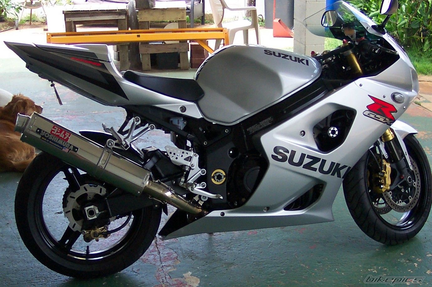 2003 SUZUKI GSX R 1000 | Picture 693875 motorcycle photo