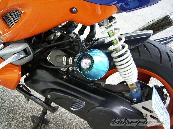 2001 HONDA CBR 600 | Picture 69458 motorcycle photo