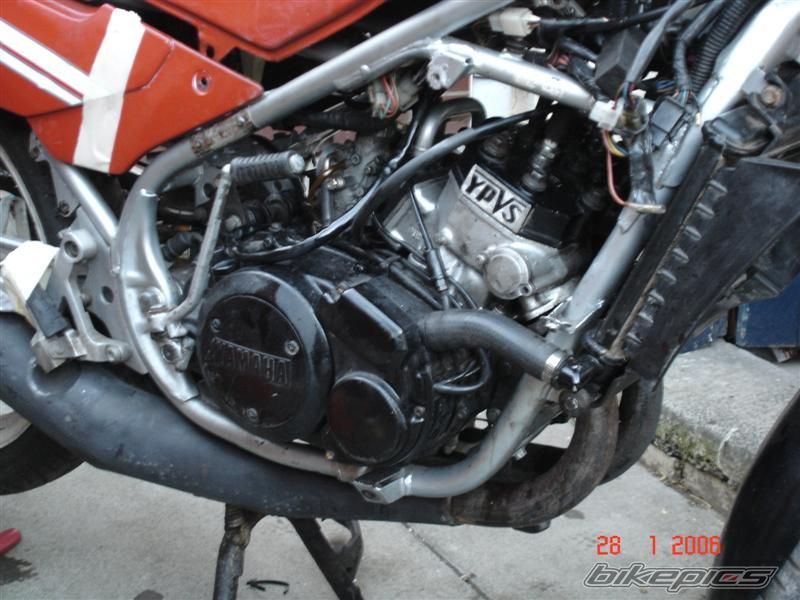 1986 YAMAHA RD 350 | Picture 694590 motorcycle photo