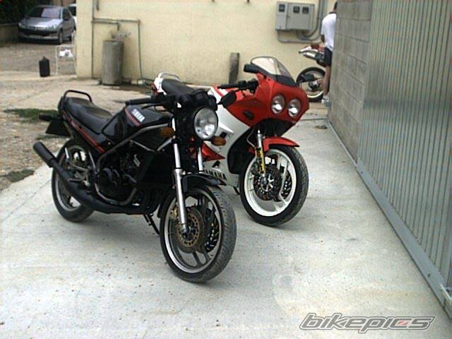 1991 YAMAHA RD 350 | Picture 6949 motorcycle photo