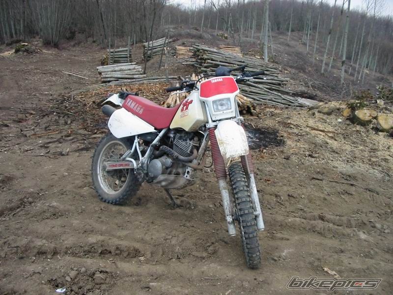 2006 YAMAHA TTR 600 | Picture 694927 motorcycle photo