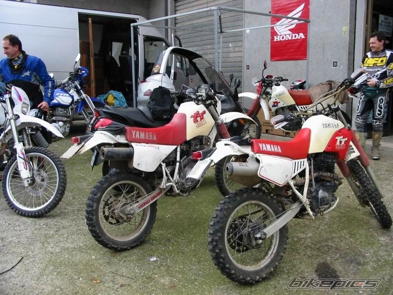 2006 YAMAHA TTR 600 | Picture 694928 motorcycle photo
