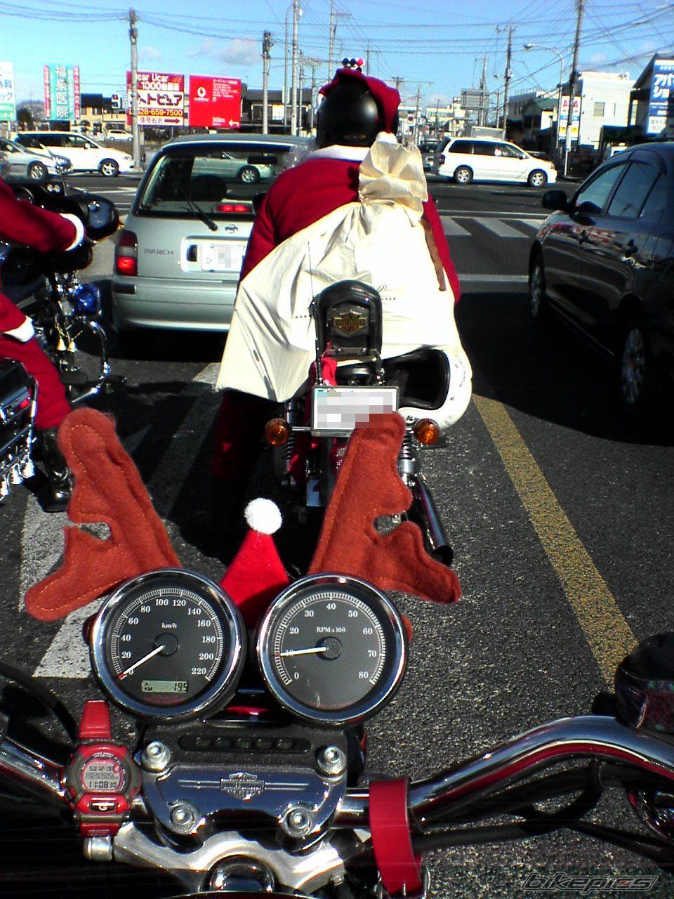 2004 HARLEY DAVIDSON XL 1200R | Picture 695028 motorcycle photo