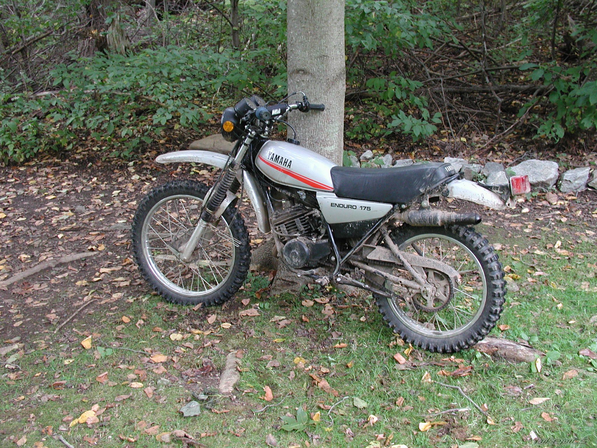 1979 YAMAHA DT 175 | Picture 695105 motorcycle photo