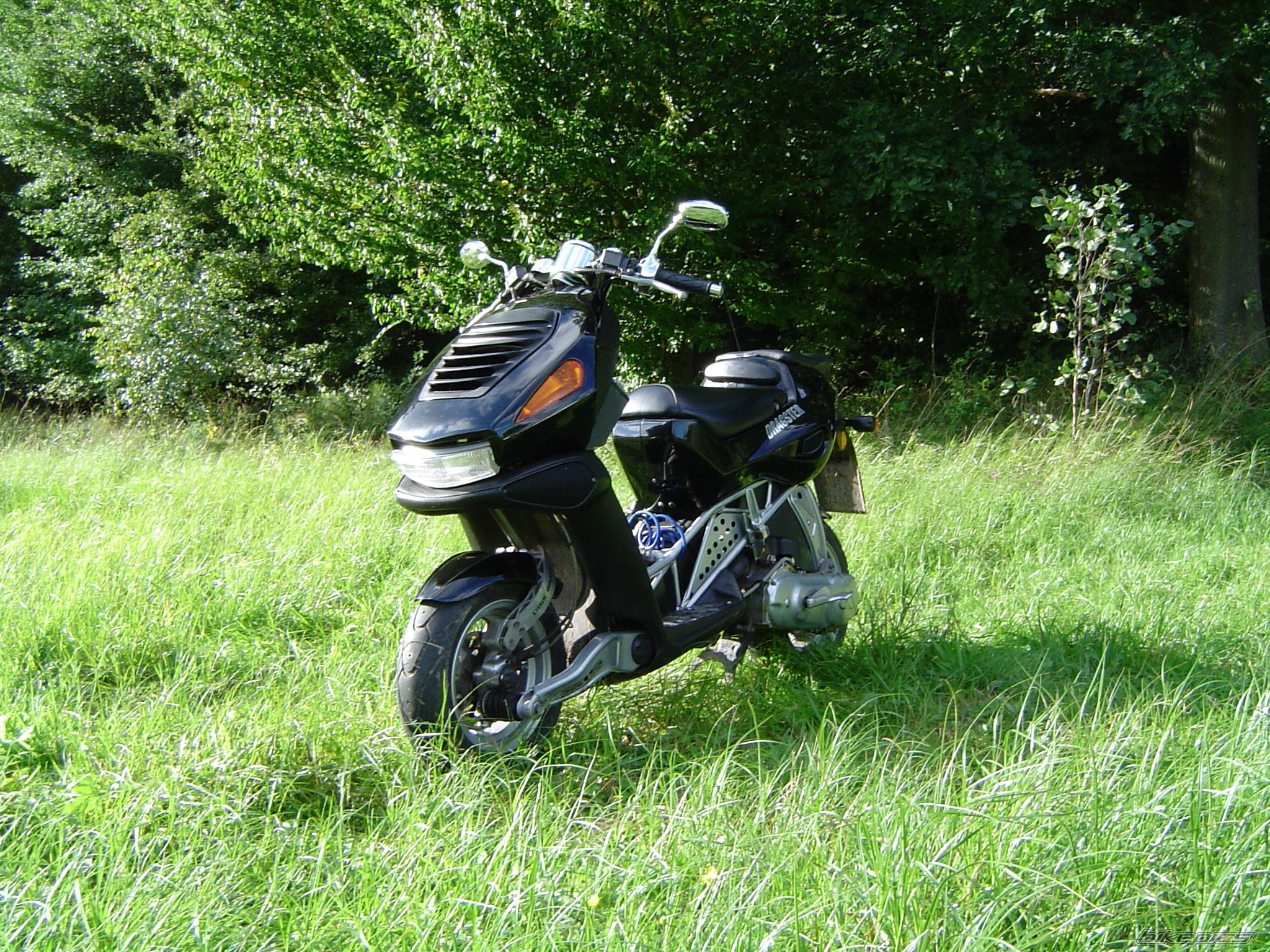    | Picture 695189 motorcycle photo