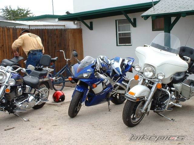 2001 YAMAHA YZF R1 | Picture 69522 motorcycle photo
