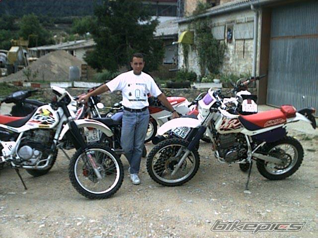 1996 HONDA XR 600 | Picture 6955 motorcycle photo