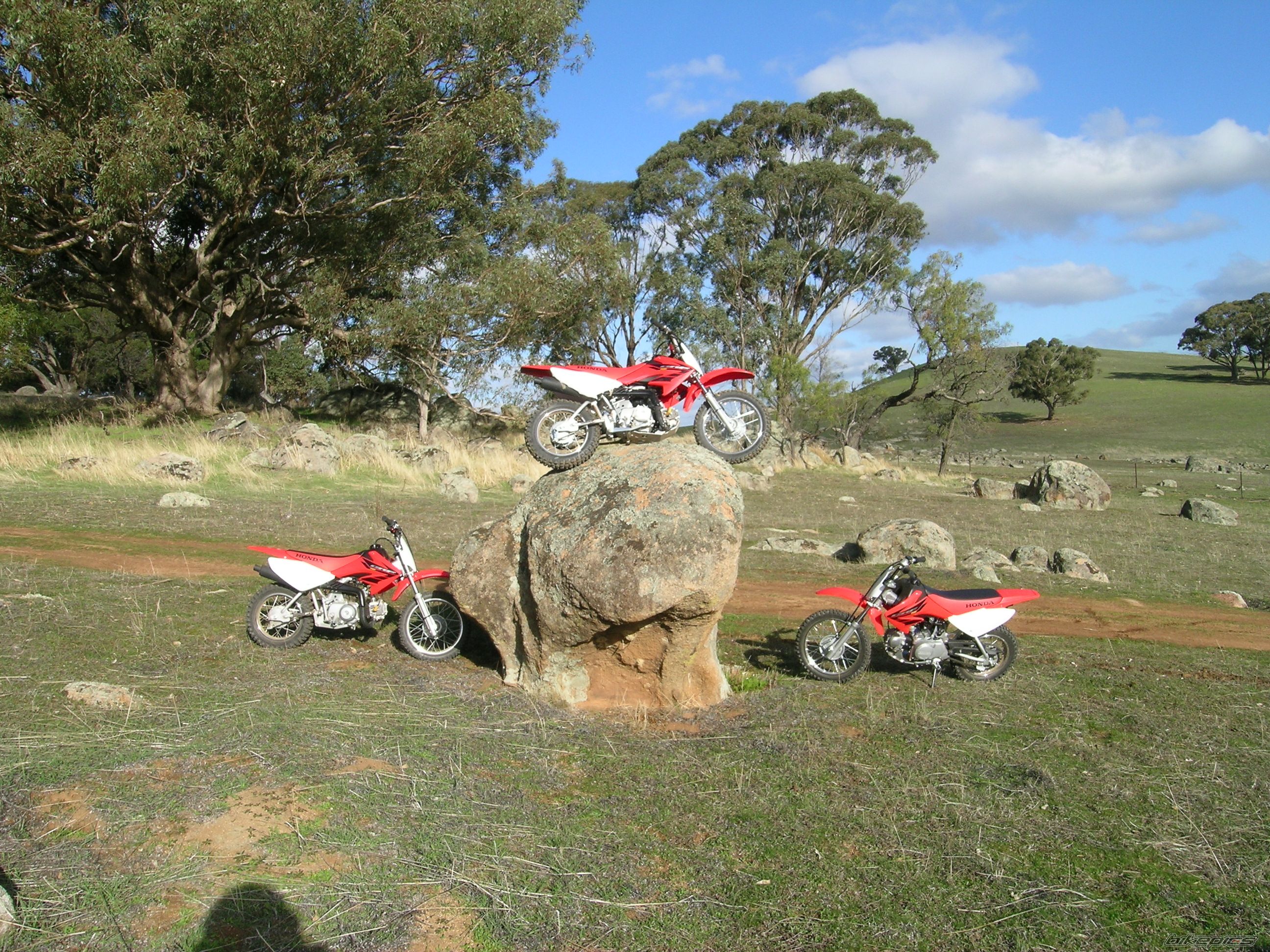 2004 HONDA CRF 70 | Picture 695504 motorcycle photo