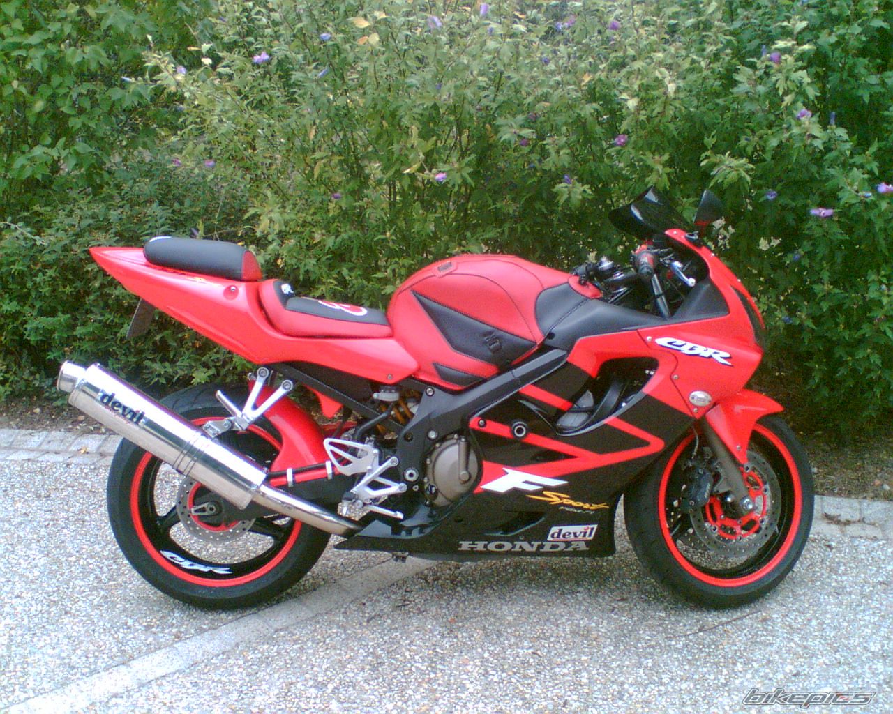 2006 HONDA CBR 600 FS | Picture 695642 motorcycle photo