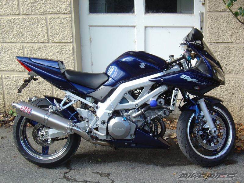 2004 SUZUKI SV 1000 S | Picture 695855 motorcycle photo