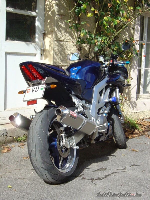 2004 SUZUKI SV 1000 S | Picture 695856 motorcycle photo