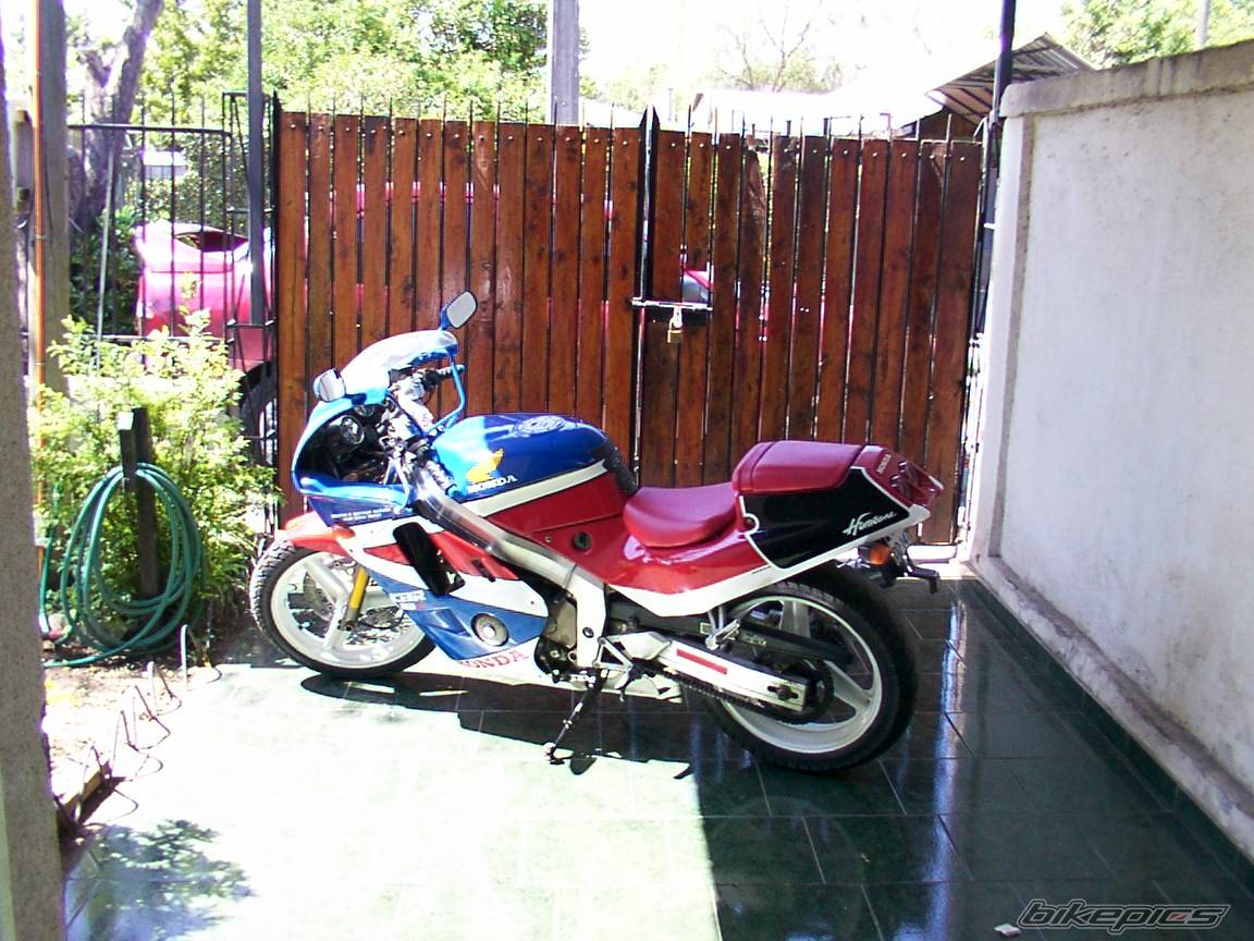1990 HONDA CBR 250 | Picture 69587 motorcycle photo