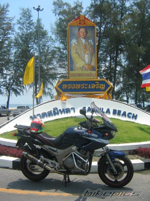 2003 YAMAHA TDM 900 | Picture 695922 motorcycle photo