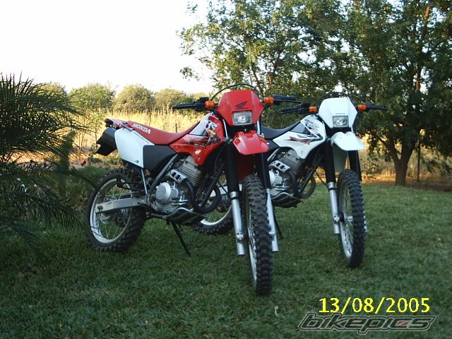 2004 HONDA XR 250 | Picture 696076 motorcycle photo