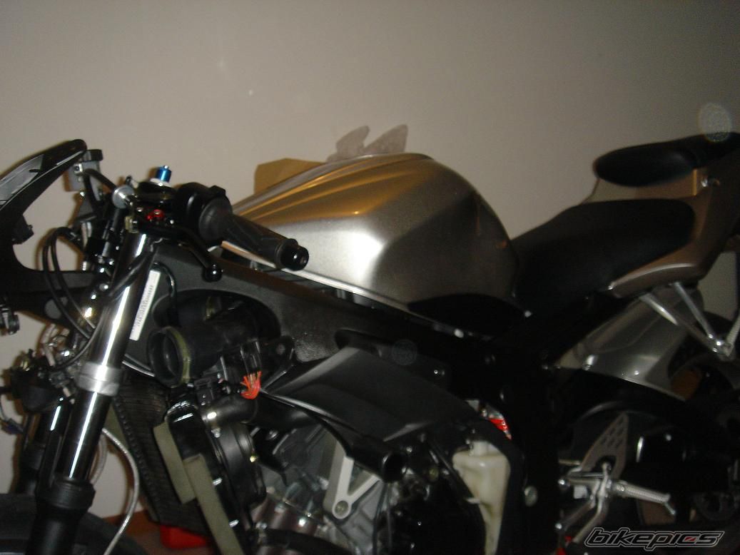2003 YAMAHA YZF R6 | Picture 696110 motorcycle photo