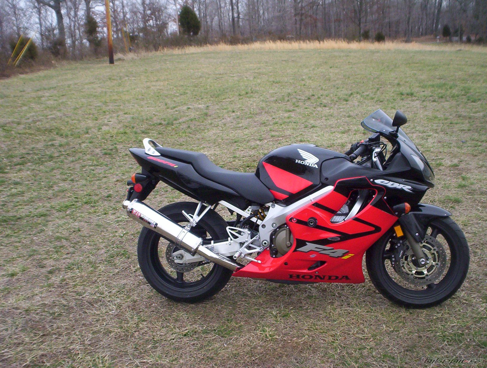 2004 HONDA CBR 600 | Picture 696255 motorcycle photo