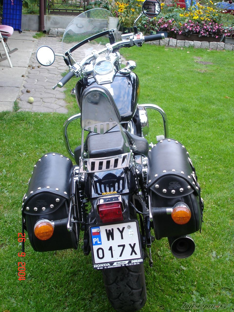 2001 HONDA VT 750 BLACK WIDOW | Picture 696663 motorcycle photo