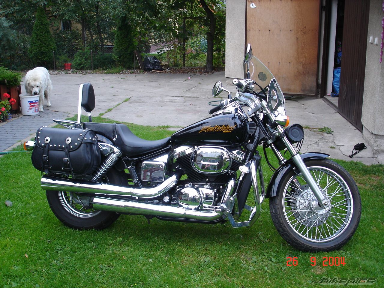 2001 HONDA VT 750 BLACK WIDOW | Picture 696665 motorcycle photo